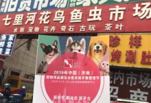 深圳最大的宠物市场在哪里-深圳最大的宠物市场在哪里有