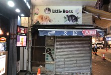 宠物怎么寄送香港-宠物怎么寄送香港到内地