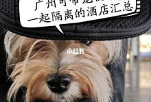 广州宠物隔离中心-广州宠物隔离中心地址