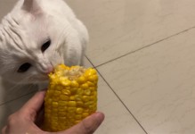 猫吃玉米吗-猫咪吃玉米吗