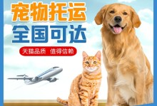 长沙到上海宠物托运-上海到长沙托运猫多少钱