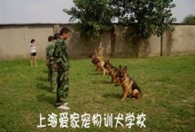 上海宠物训-上海宠物训导师培训