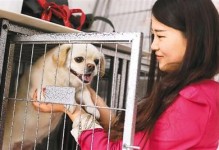 北京寄宠物-北京宠物寄养价目表