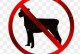 禁止宠物处罚-禁止宠物入内合法吗