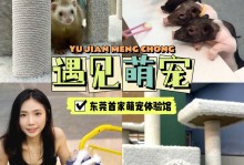 广州哪里有宠物体验馆-广州哪里有宠物体验馆卖