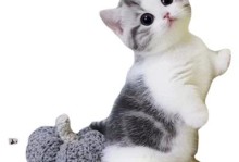 小型宠物猫-小型宠物猫品种图片大全及名字