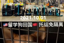 香港托运宠物-香港宠物托运运输公司