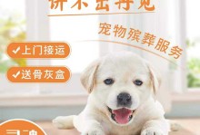 深圳宠物租赁-深圳宠物租赁公司电话