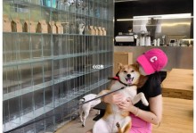 上海宠物咖啡店-上海有很多狗狗的咖啡店