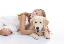 宠物犬守护-守护爱犬宠物责任险