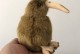 kiwi鸟-kiwi鸟简笔画