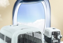 宠物空运哪家好-宠物空运哪家航空公司好