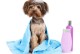 宠物店幼犬洗澡多少钱-宠物店给幼犬洗个澡要多少钱