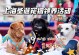宠物领养漳州-漳州宠物猫领养中心