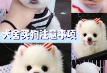 广州宠物交易市场-广州宠物市场批发市场