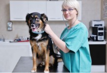 宠物保健专业-宠物保健是什么
