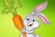 兔子爱吃胡萝卜-兔子爱吃胡萝卜的拼音是什么