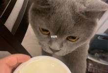 猫咪可以吃酸奶吗-猫咪可以吃酸奶吗泰迪