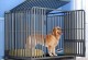 宠物笼子安装-宠物笼子安装方法