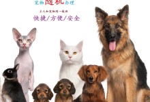 中国最好的宠物学校-全国最好的宠物医学院是哪个