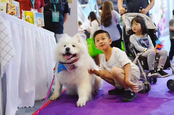 上海宠物展带宠物免门票吗-2021上海宠物展门票