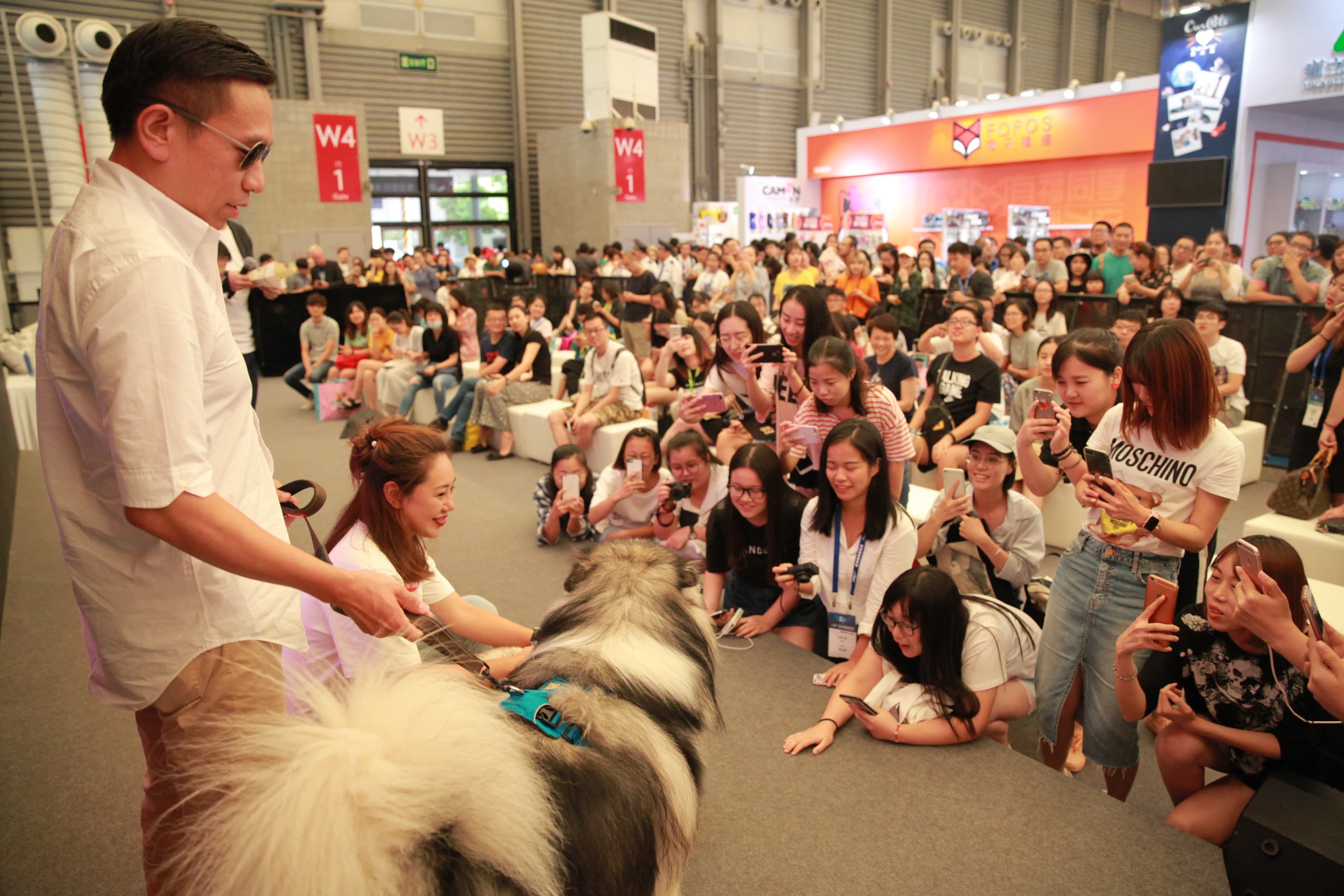 南京宠物展览会-2021南京宠物文化节