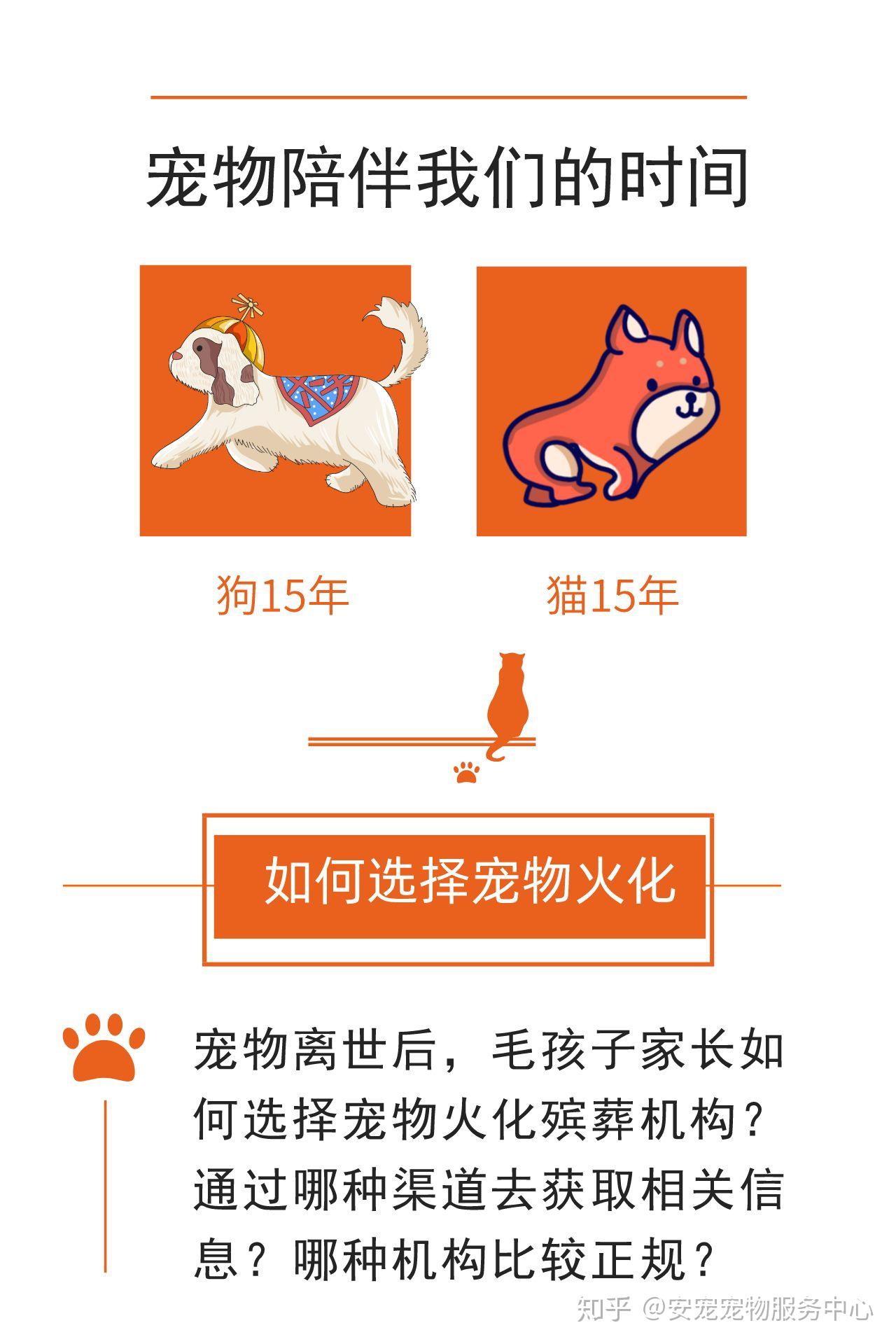 广州宠物善终收费-广州宠物救助站电话号码