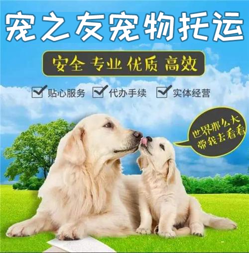 广州宠物托运公司电话-广州宠物托运公司联系方式